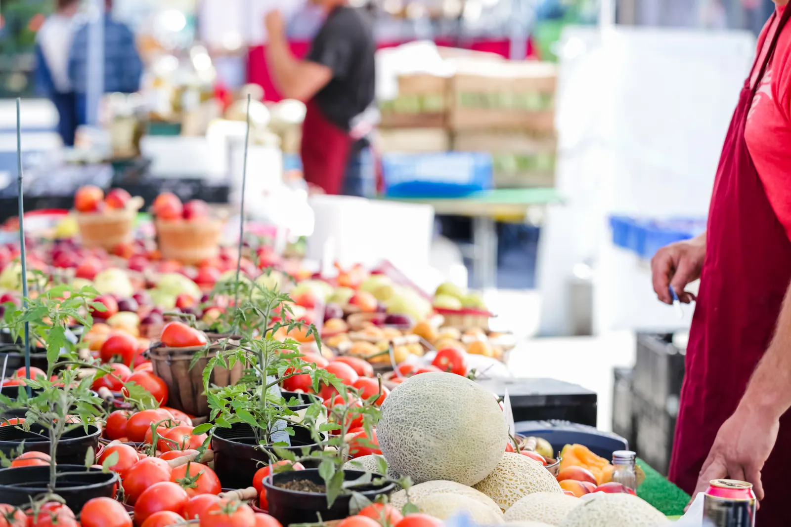 Farmers Market