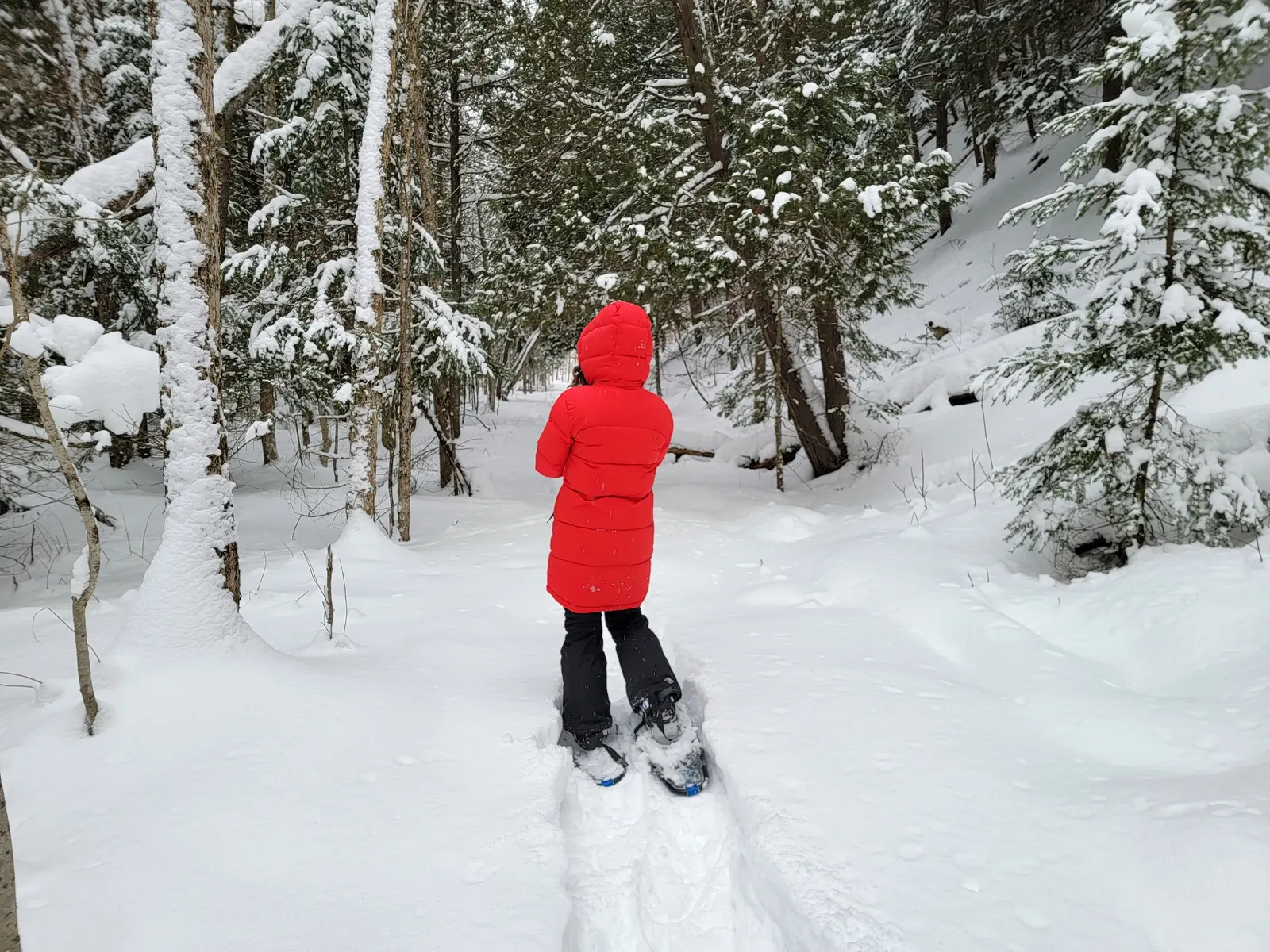 Snowshoeing