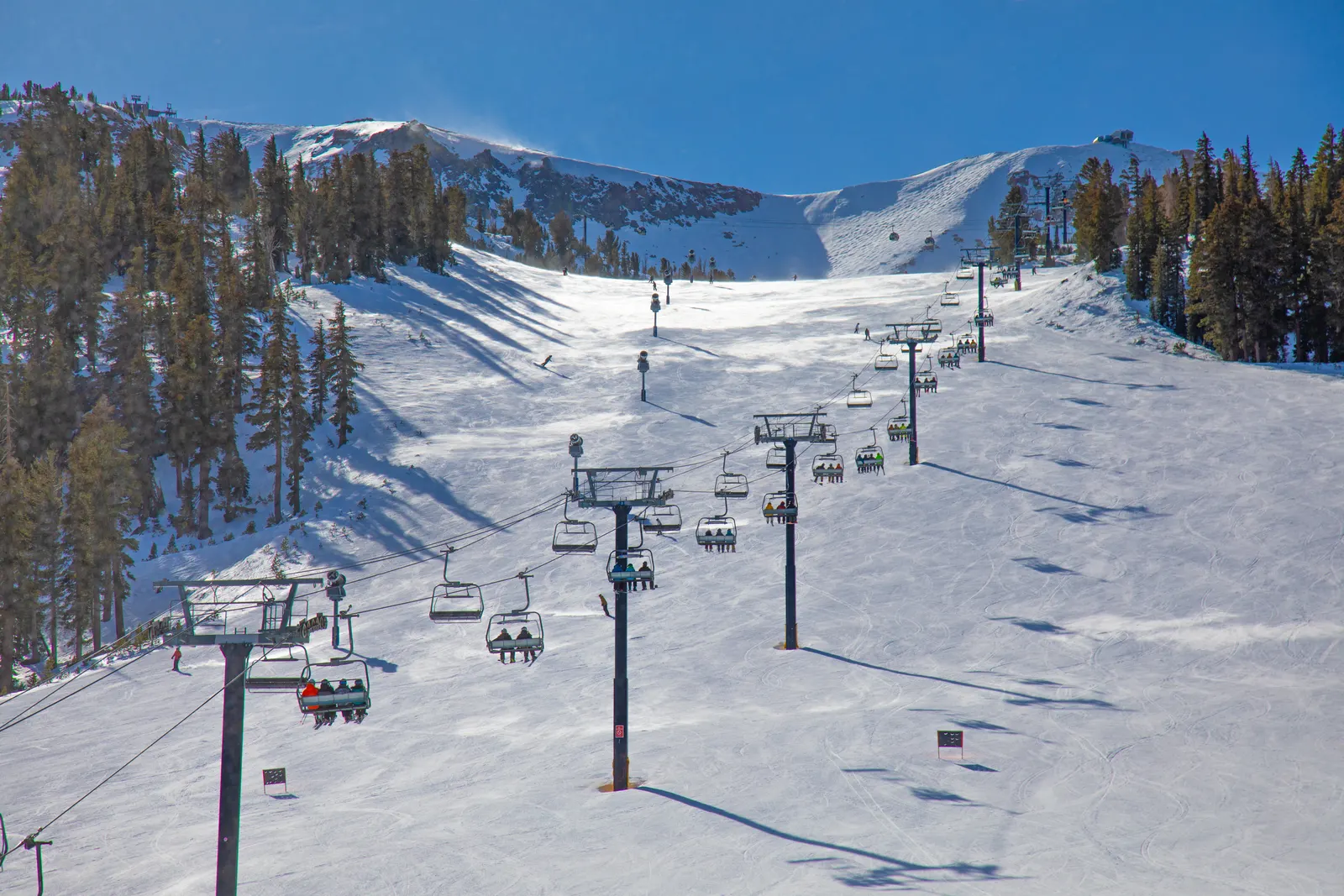 Mammoth mountain