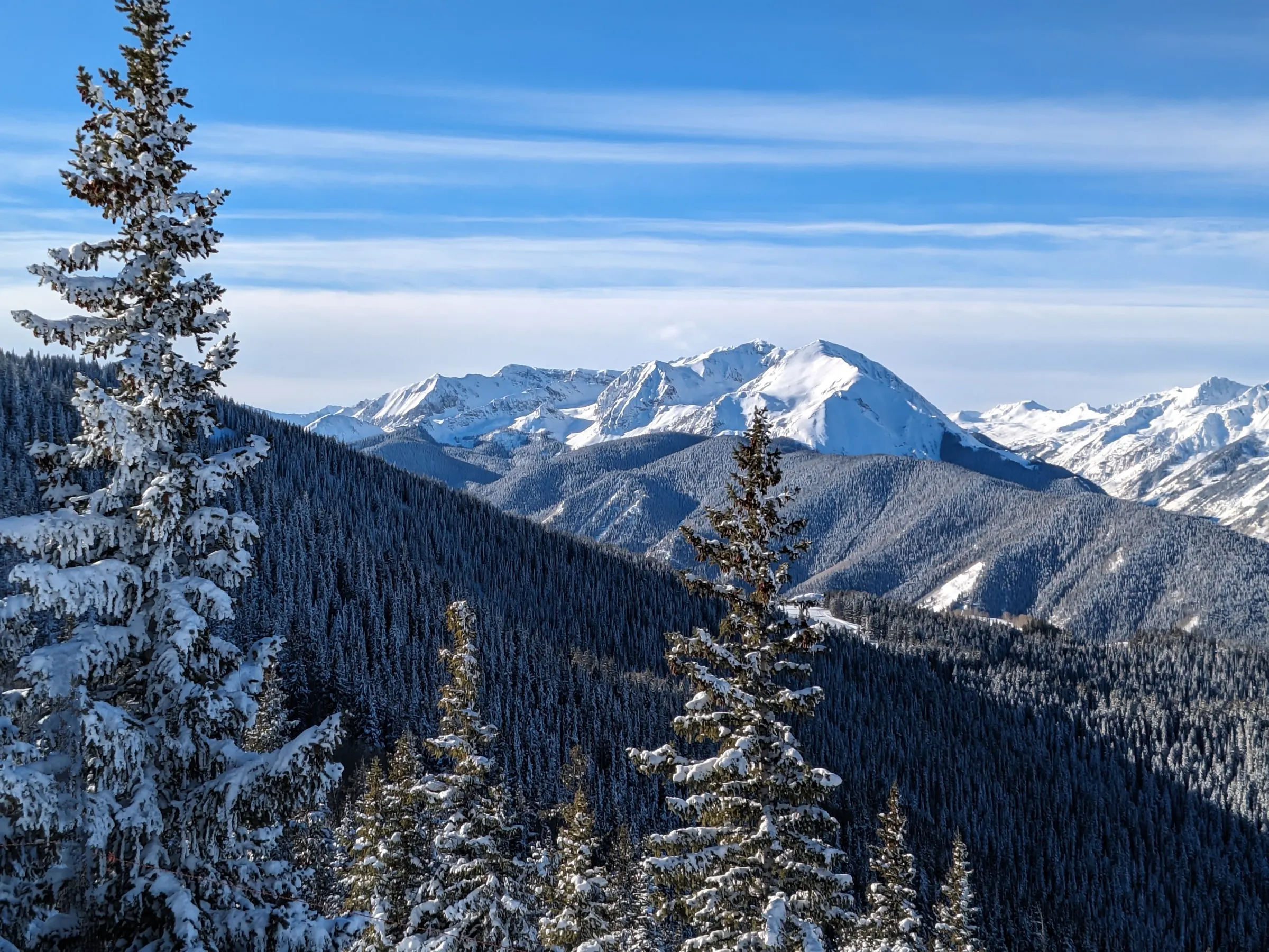 Mountains and trees