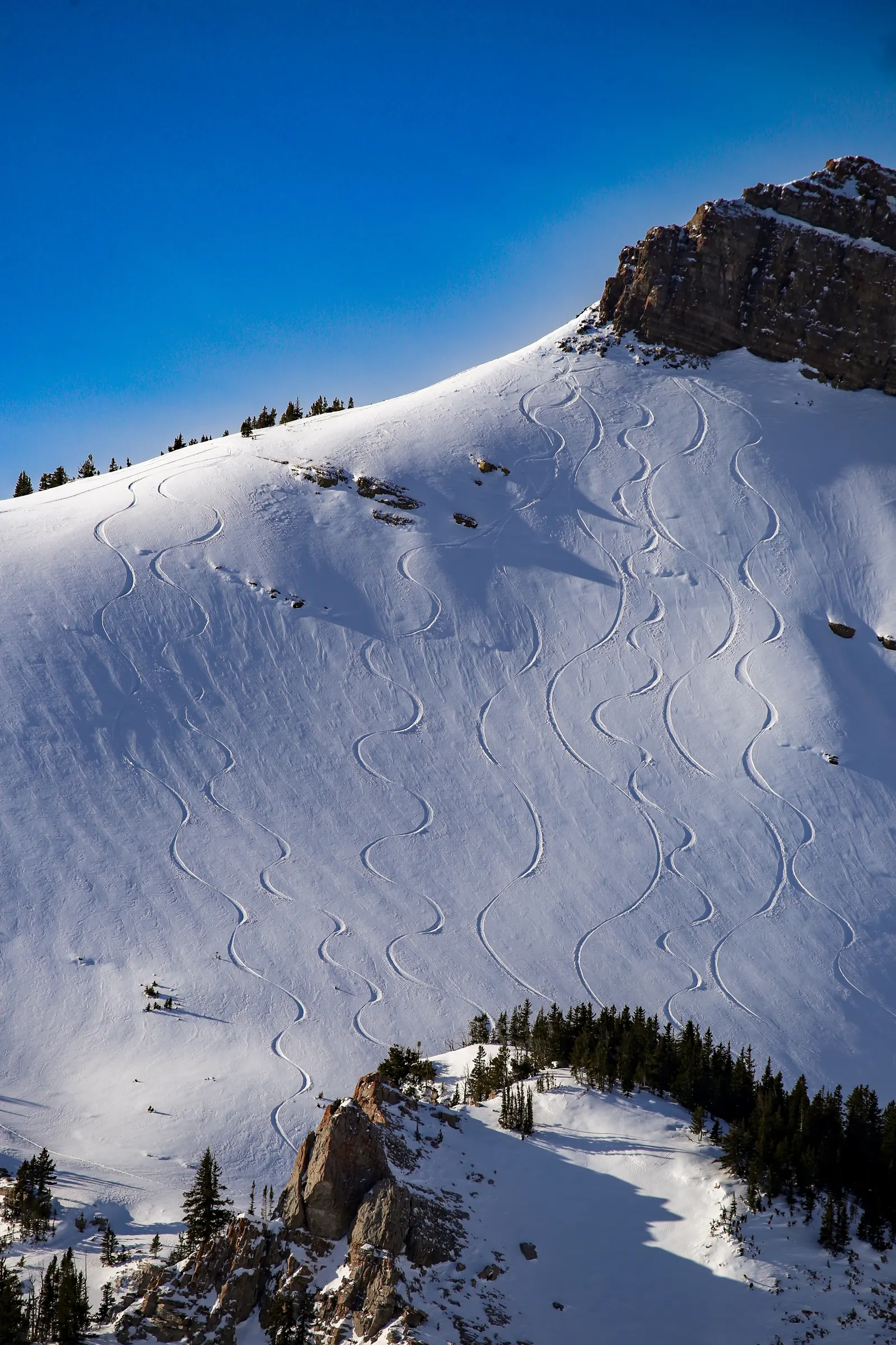 Skiers on a mountain