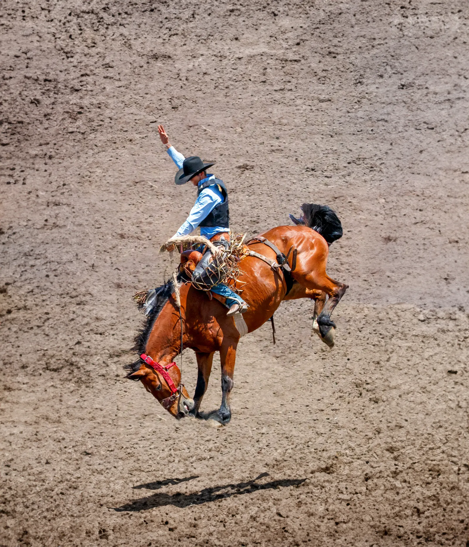 Steamboat Pro Rodeo