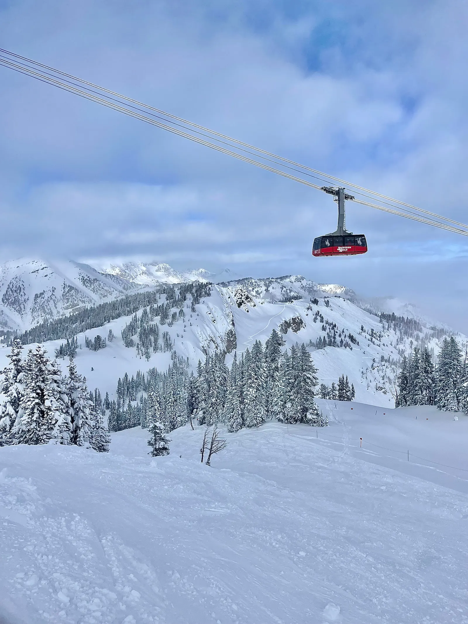 Tram at Jackson Hole