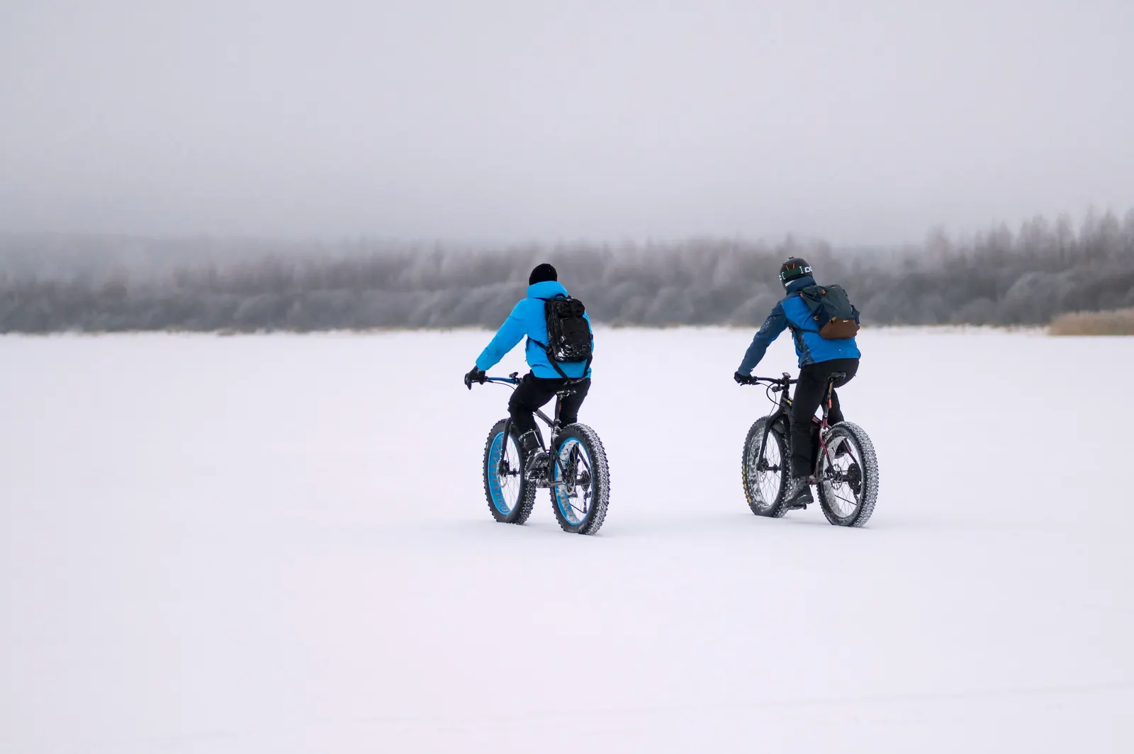 Fat biking in the snow