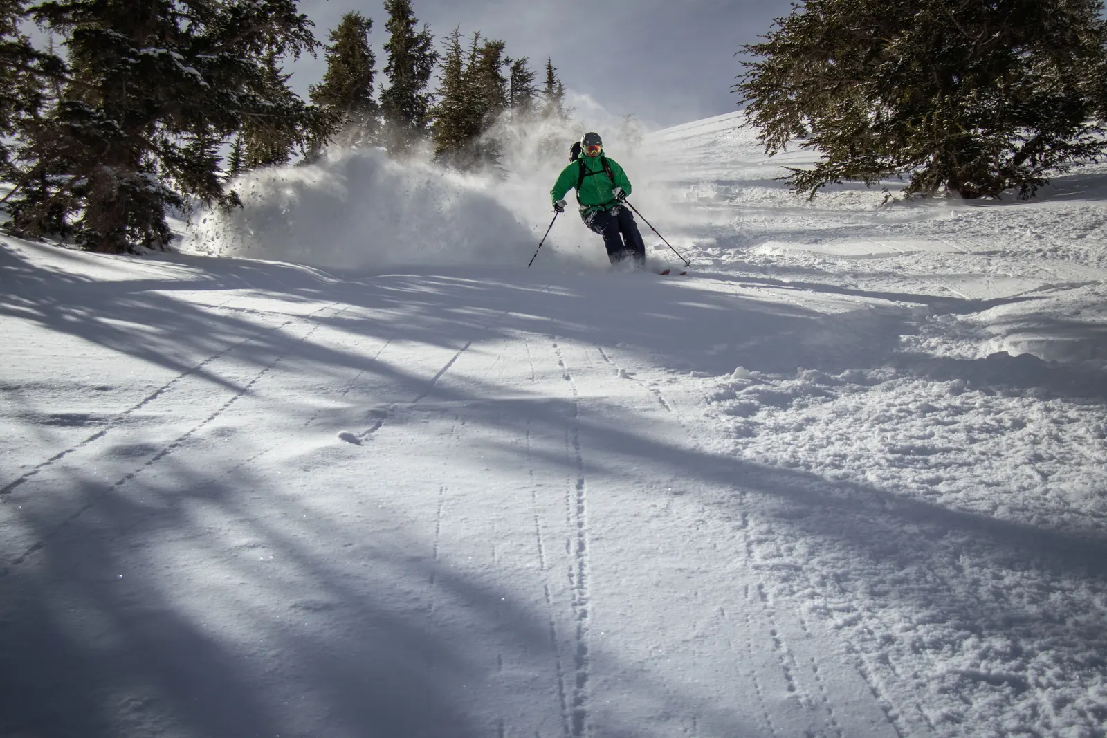 Skier in Mammoth's trees
